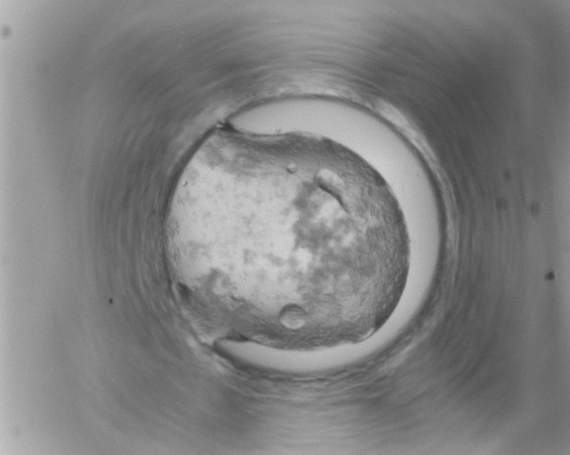 X0000061740481200512302215