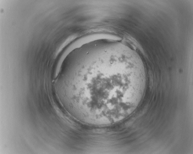 X0000061740482200512302215