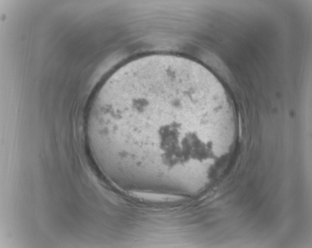 X0000061740483200512302215