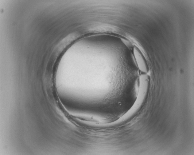 X0000061740485200512302215