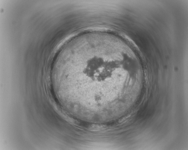 X0000061740487200512302215