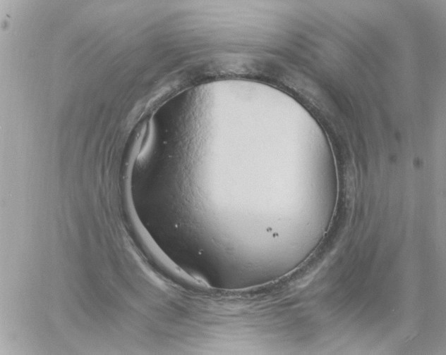 X0000061740489200512302215