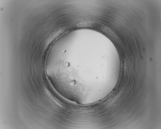 X0000061740490200512302215