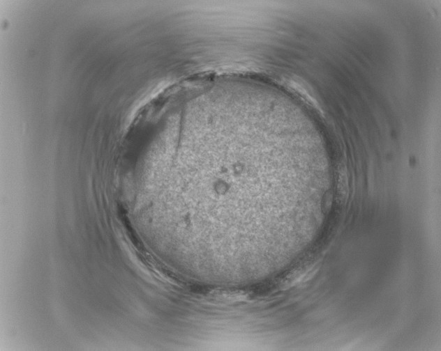 X0000061740491200512302215