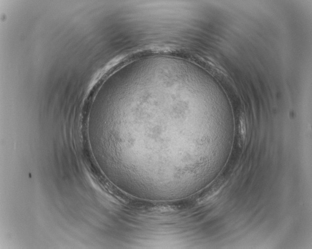 X0000061740492200512302215