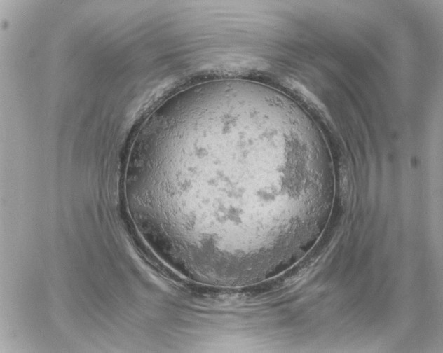 X0000061740493200512302215