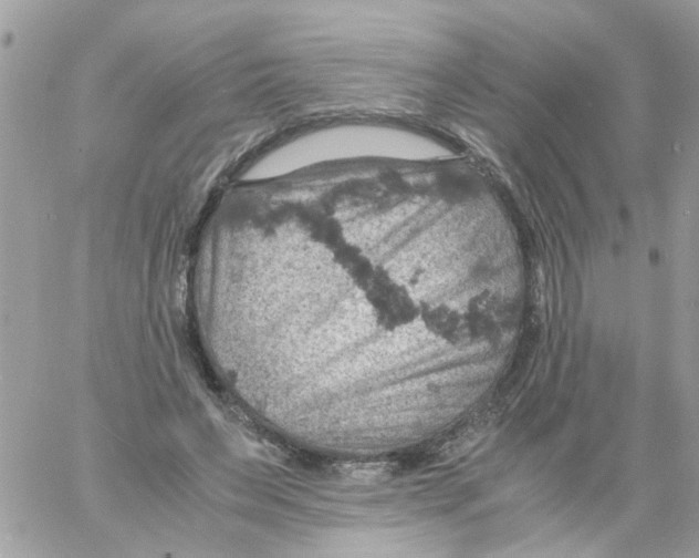 X0000061740495200512302215