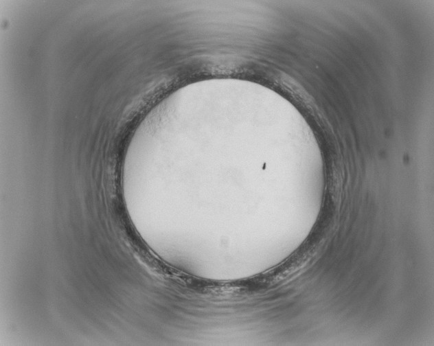 X0000061740497200512302215