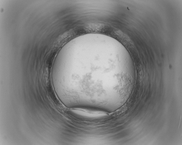 X0000061740498200512302215