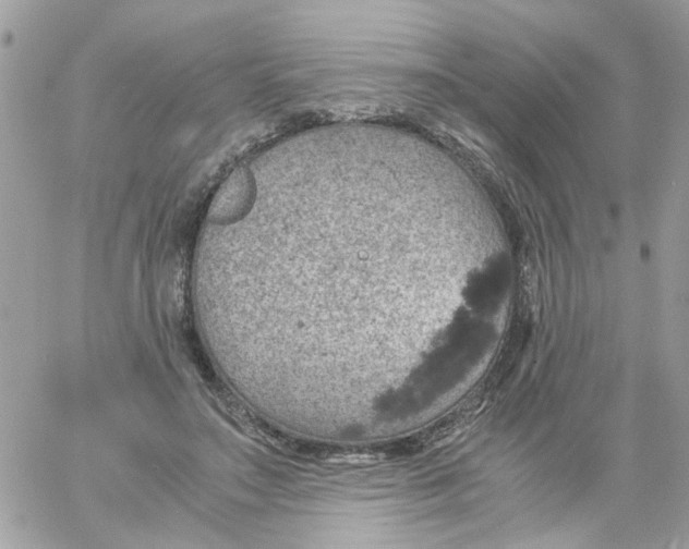 X0000061740499200512302215