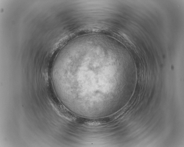 X0000061740500200512302215