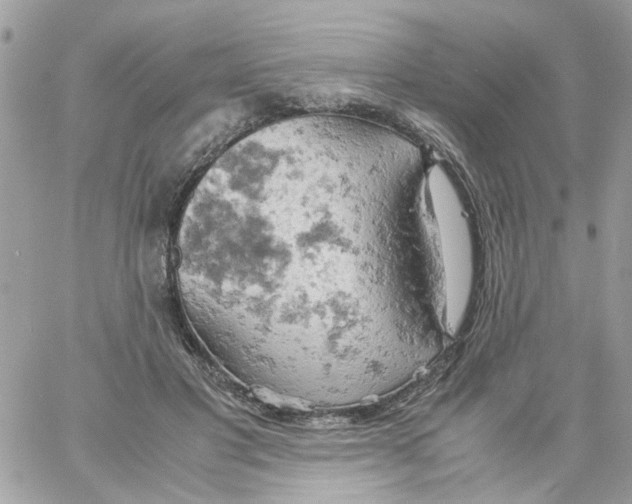 X0000061740501200512302215