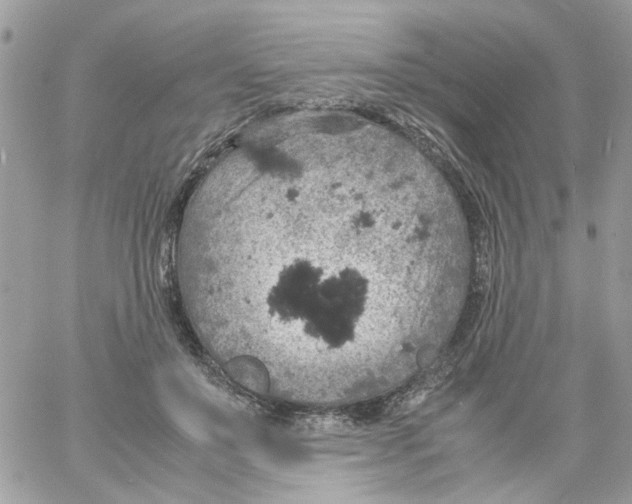 X0000061740503200512302215