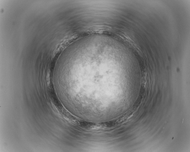 X0000061740504200512302215