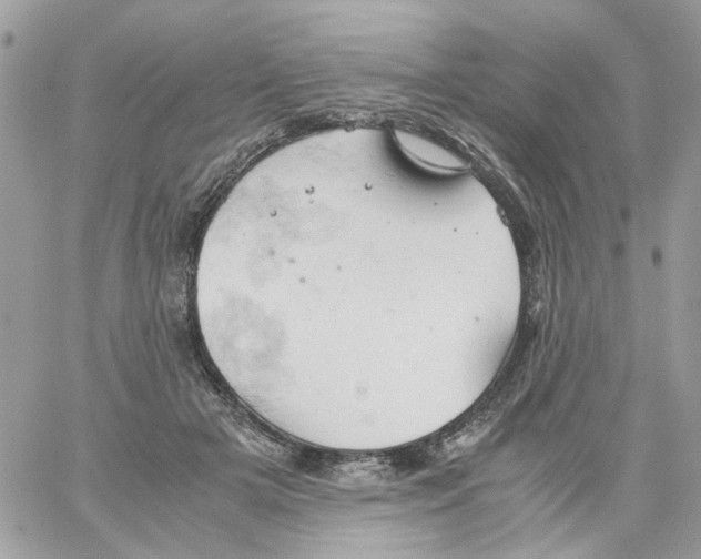 X0000061740505200512302215