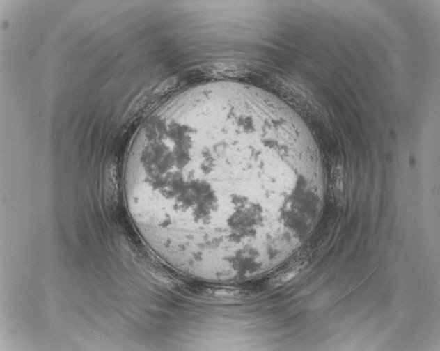 X0000061740506200512302215