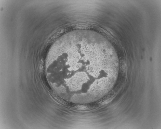 X0000061740507200512302215