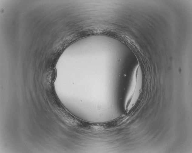 X0000061740509200512302215