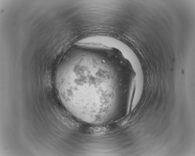 X0000061740512200512302215