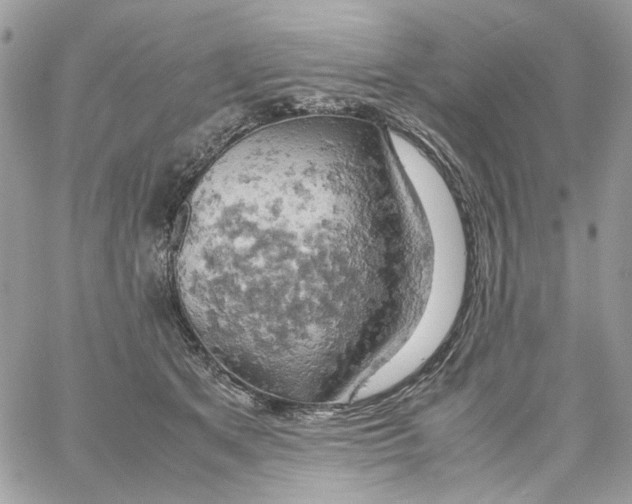 X0000061740513200512302215