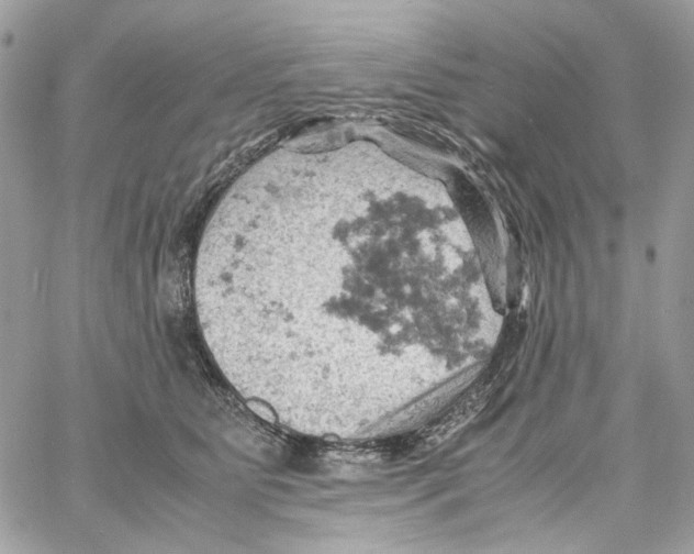 X0000061740515200512302215