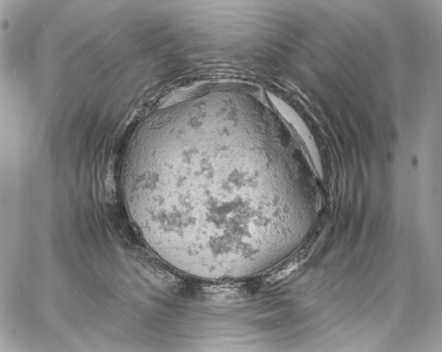 X0000061740516200512302215