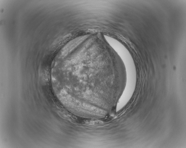 X0000061740517200512302215