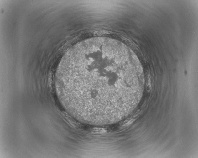 X0000061740519200512302215