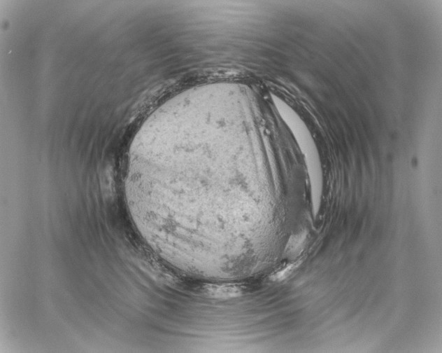 X0000061740520200512302215