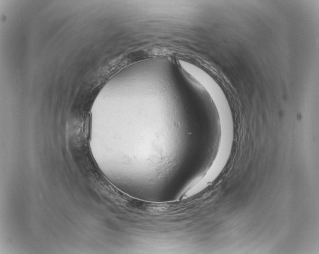 X0000061740521200512302215