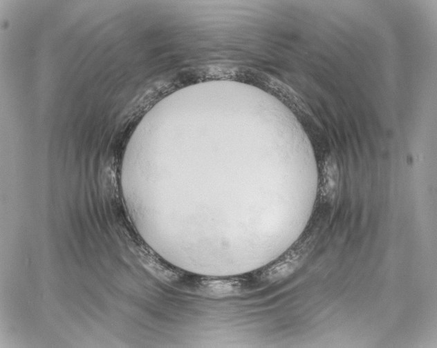 X0000061740522200512302215