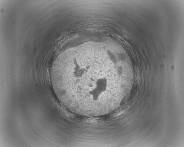 X0000061740523200512302215