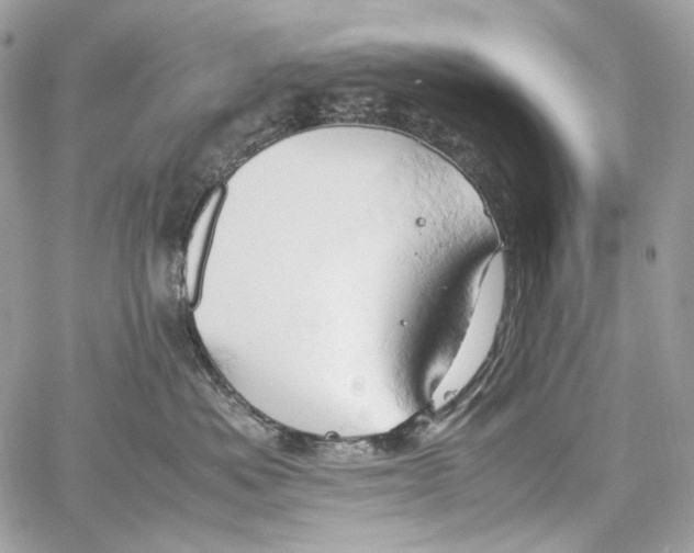 X0000061740525200512302215