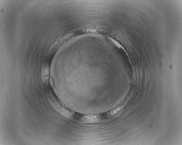 X0000061740526200512302215