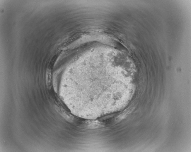 X0000061740528200512302215