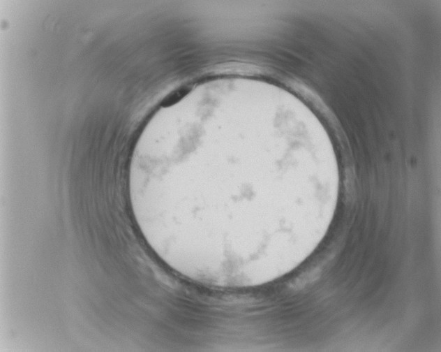 X0000061740529200512302214