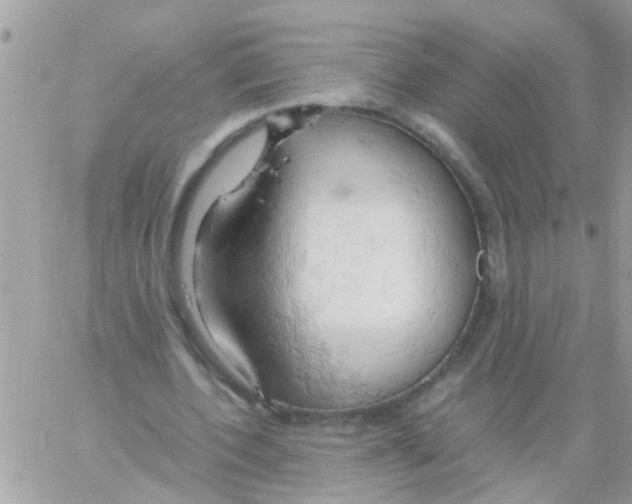 X0000061740532200512302214