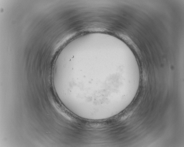 X0000061740533200512302214