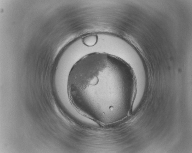 X0000061740534200512302214