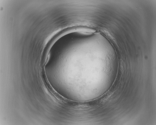 X0000061740536200512302214