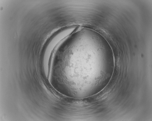 X0000061740540200512302214