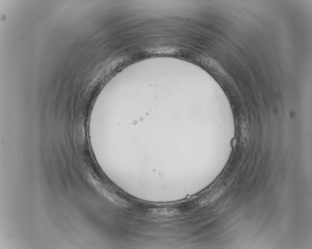 X0000061740541200512302214