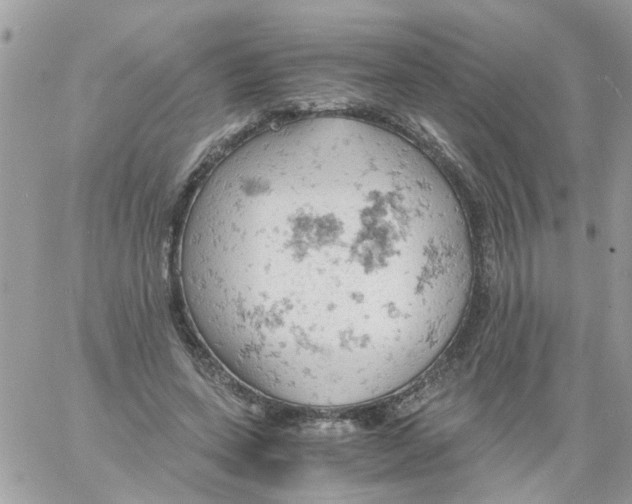 X0000061740543200512302214