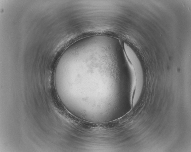 X0000061740544200512302214