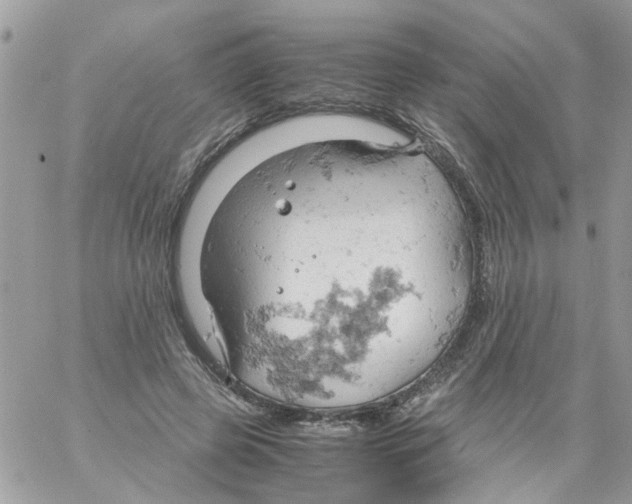 X0000061740545200512302214