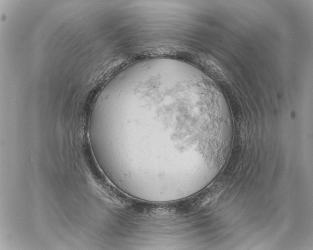 X0000061740546200512302214