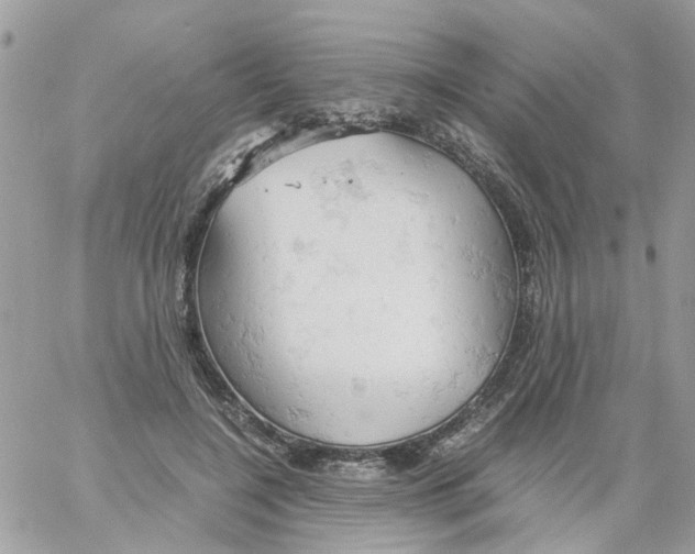 X0000061740548200512302214