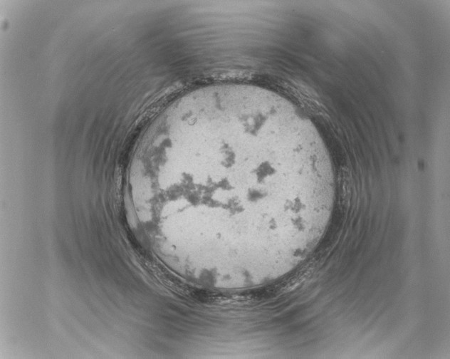 X0000061740550200512302214