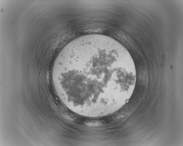 X0000061740551200512302214