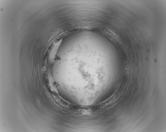 X0000061740552200512302214